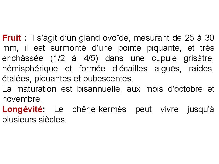 Fruit : Il s’agit d’un gland ovoïde, mesurant de 25 à 30 mm, il