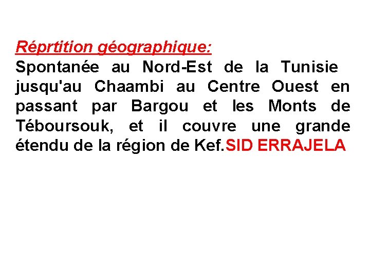 Réprtition géographique: Spontanée au Nord-Est de la Tunisie jusqu'au Chaambi au Centre Ouest en