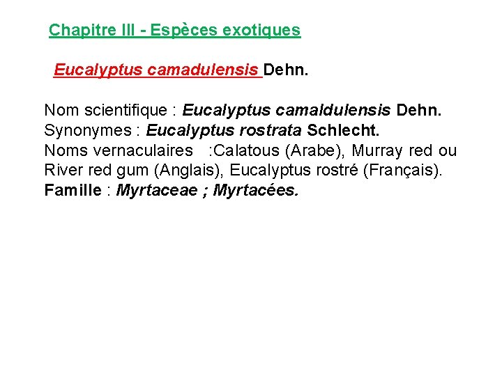Chapitre III - Espèces exotiques Eucalyptus camadulensis Dehn. Nom scientifique : Eucalyptus camaldulensis Dehn.
