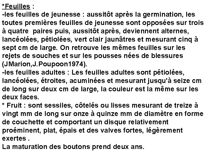 *Feuilles : -les feuilles de jeunesse : aussitôt après la germination, les toutes premières