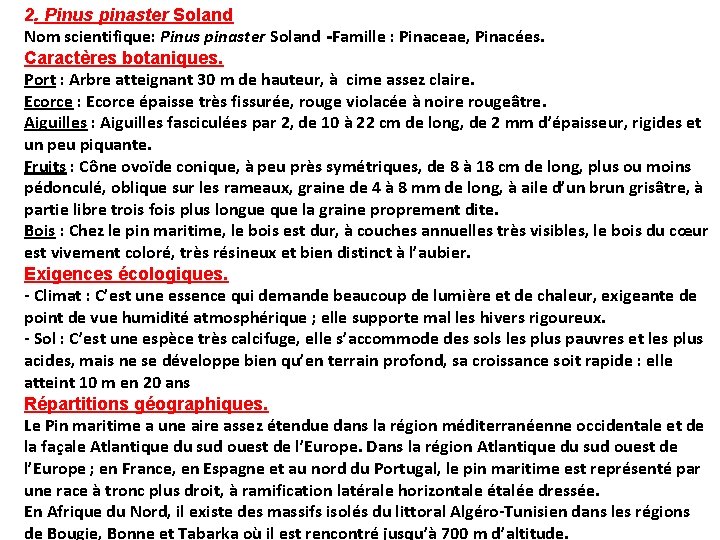 2. Pinus pinaster Soland Nom scientifique: Pinus pinaster Soland -Famille : Pinaceae, Pinacées. Caractères