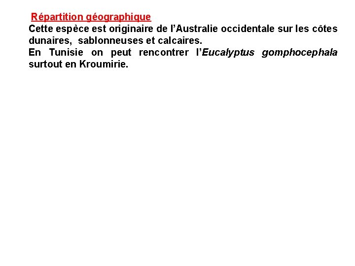 Répartition géographique Cette espèce est originaire de l’Australie occidentale sur les côtes dunaires, sablonneuses