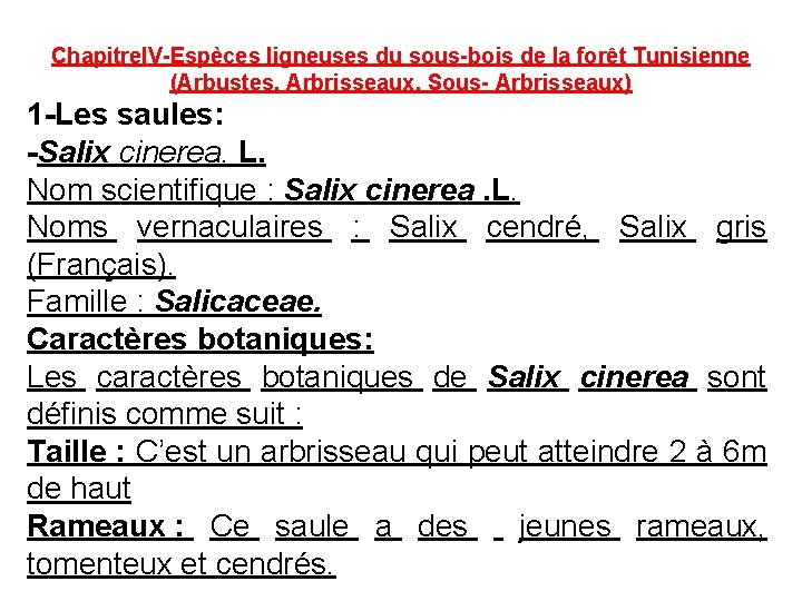 Chapitre. IV-Espèces ligneuses du sous-bois de la forêt Tunisienne (Arbustes, Arbrisseaux, Sous- Arbrisseaux) 1