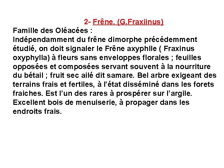 2 - Frêne. (G. Fraxiinus) Famille des Oléacées : Indépendamment du frêne dimorphe précédemment