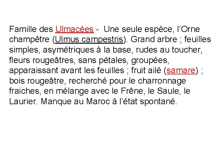 Famille des Ulmacées - Une seule espèce, l’Orne champêtre (Ulmus campestris). Grand arbre ;