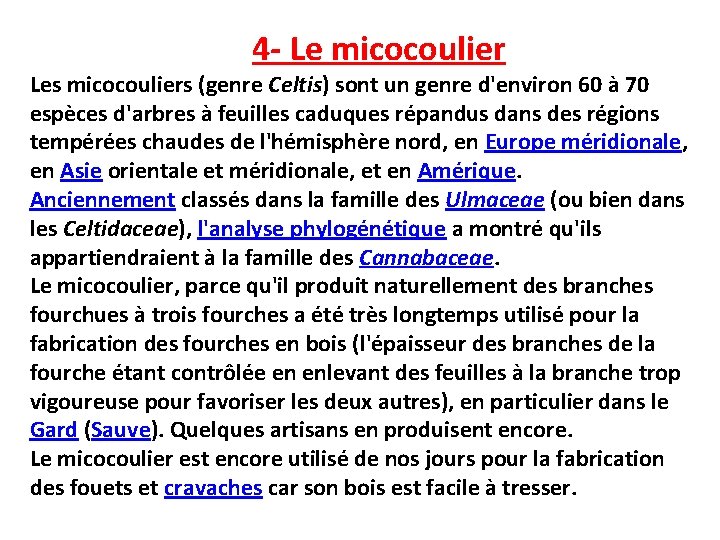 4 - Le micocoulier Les micocouliers (genre Celtis) sont un genre d'environ 60 à