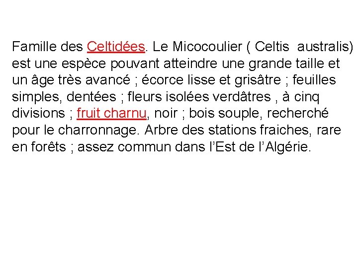 Famille des Celtidées. Le Micocoulier ( Celtis australis) est une espèce pouvant atteindre une
