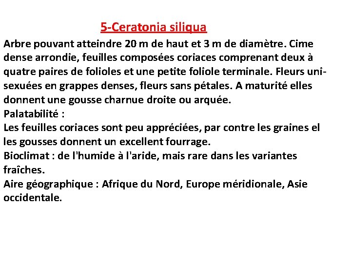 5 -Ceratonia siliqua Arbre pouvant atteindre 20 m de haut et 3 m de