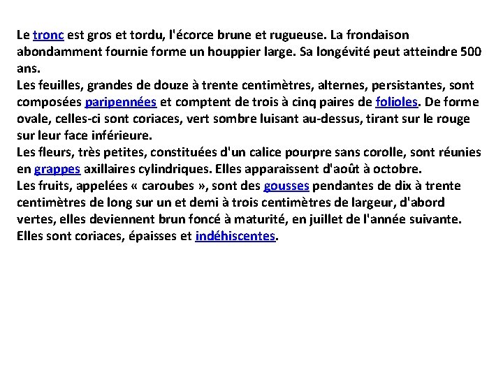 Le tronc est gros et tordu, l'écorce brune et rugueuse. La frondaison abondamment fournie