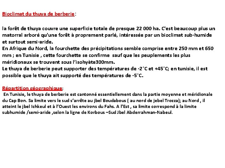Bioclimat du thuya de berberie: la forêt de thuya couvre une superficie totale de