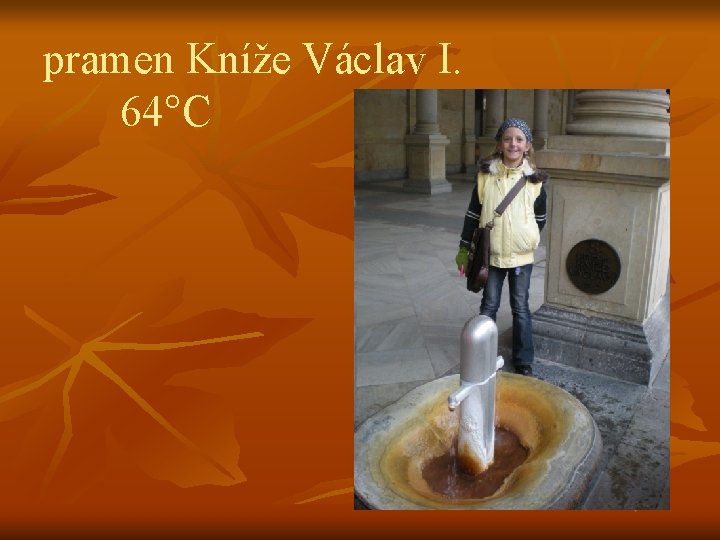 pramen Kníže Václav I. 64°C 