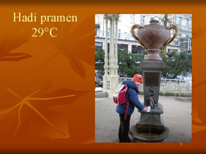 Hadí pramen 29°C 