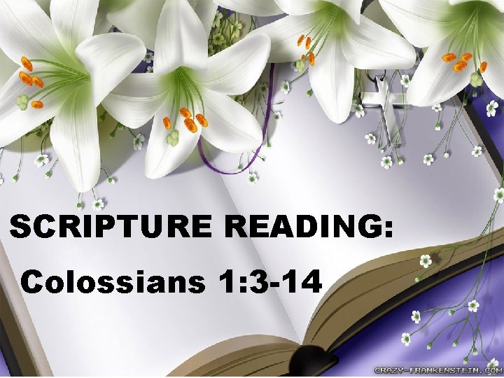 SCRIPTURE READING: Colossians 1: 3 -14 