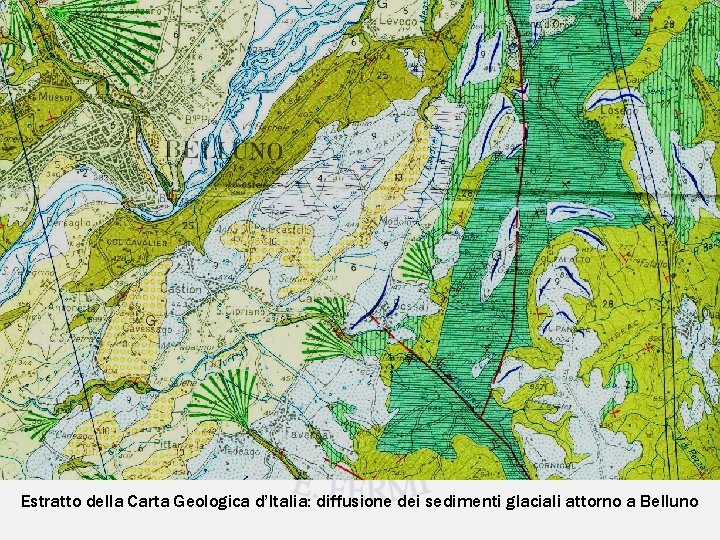 Estratto della Carta Geologica d’Italia: diffusione dei sedimenti glaciali attorno a Belluno 