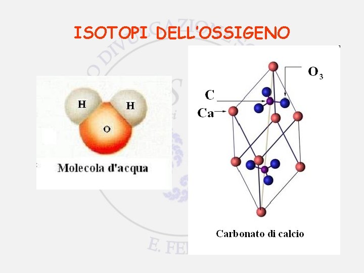 ISOTOPI DELL’OSSIGENO 