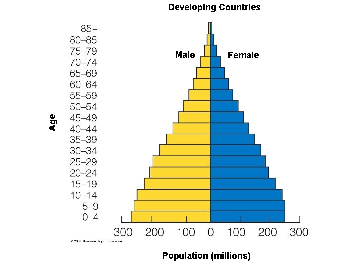 Developing Countries Female Age Male Population (millions) 