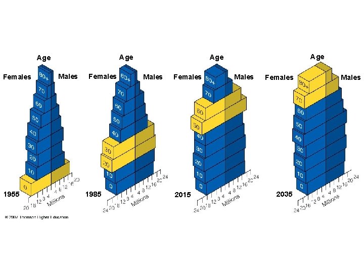 Females 1955 Males Females 1985 Age Age Males Females 2015 Males Females 2035 Males