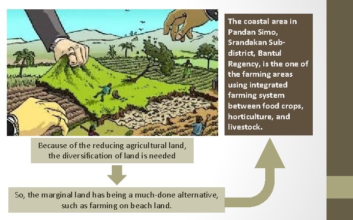 The coastal area in Pandan Simo, Srandakan Subdistrict, Bantul Regency, is the one of