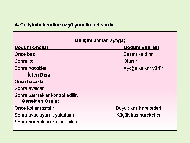 4 - Gelişimin kendine özgü yönelimleri vardır. Gelişim baştan ayağa; Doğum Sonrası Başını kaldırır