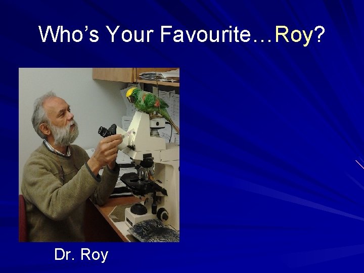 Who’s Your Favourite…Roy? Dr. Roy 