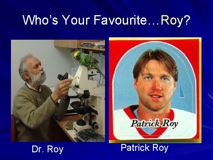 Who’s Your Favourite…Roy? Dr. Roy Patrick Roy 