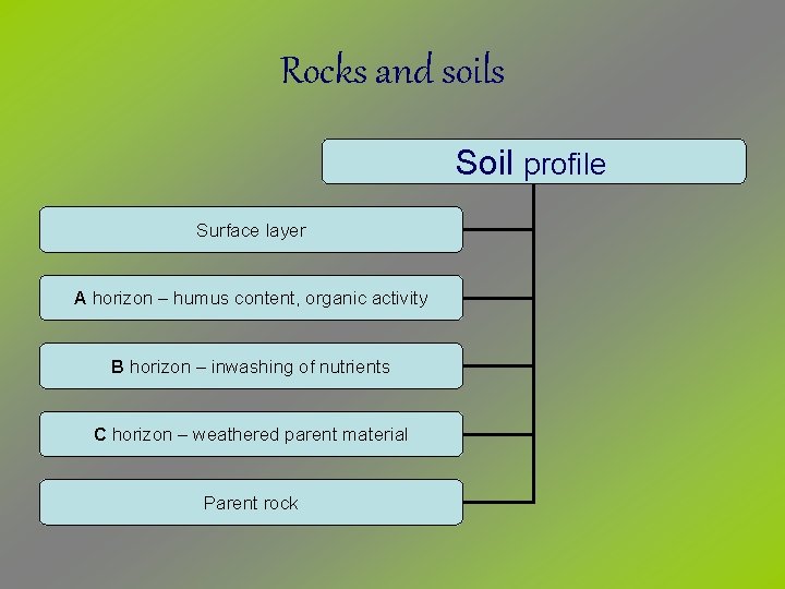 Rocks and soils Soil profile Surface layer A horizon – humus content, organic activity