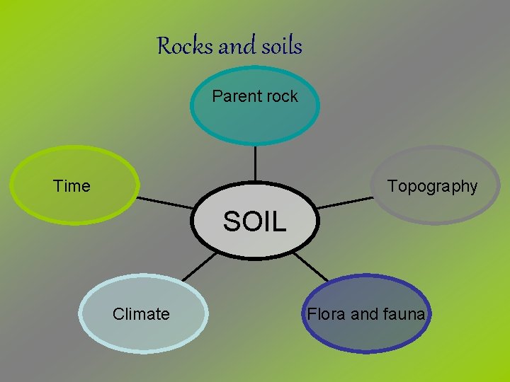 Rocks and soils Parent rock Time Topography SOIL Climate Flora and fauna 