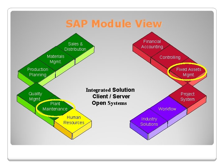 SAP Module View Sales & Distribution Financial Accounting Materials Mgmt. Controlling Fixed Assets Mgmt.