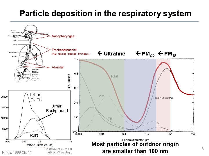 Particle deposition in the respiratory system Ultrafine PM 2. 5 PM 10 Urban Traffic