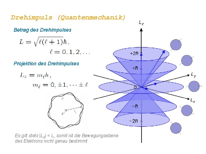 Drehimpuls (Quantenmechanik) Betrag des Drehimpulses Projektion des Drehimpulses Es gilt stets |Lz| < L,