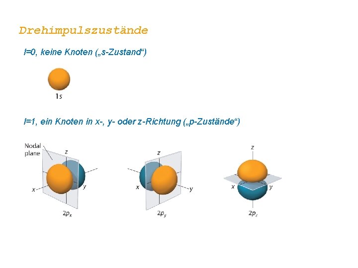 Drehimpulszustände l=0, keine Knoten („s-Zustand“) l=1, ein Knoten in x-, y- oder z-Richtung („p-Zustände“)