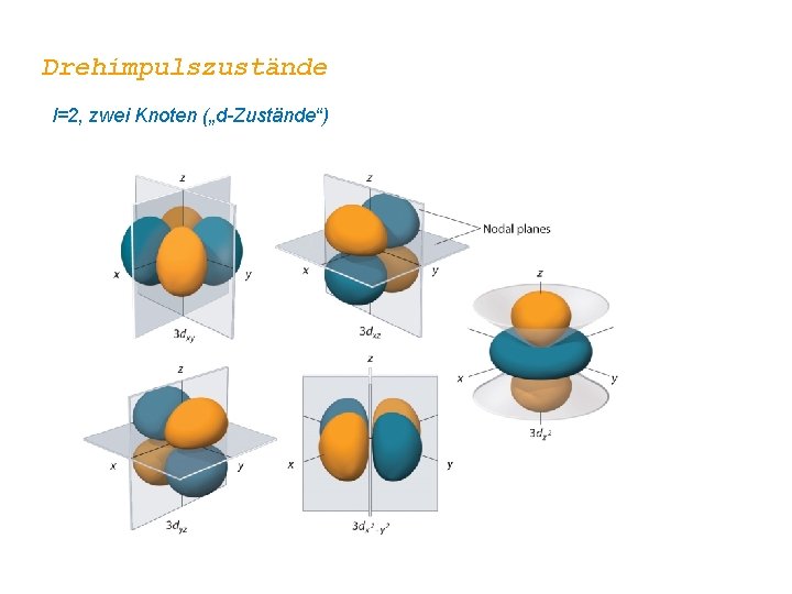 Drehimpulszustände l=2, zwei Knoten („d-Zustände“) 