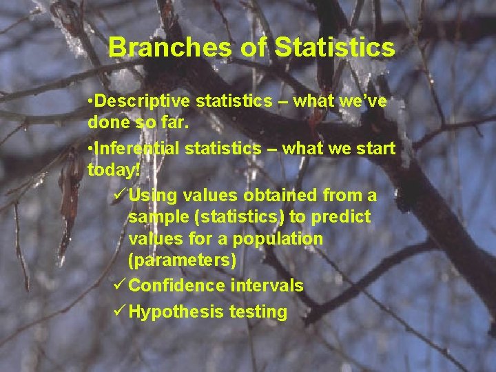 Branches of Statistics • Descriptive statistics – what we’ve done so far. • Inferential