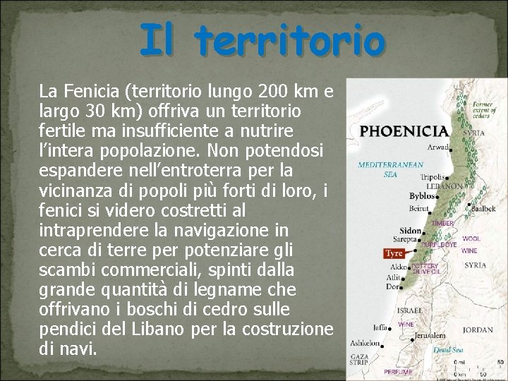 Il territorio La Fenicia (territorio lungo 200 km e largo 30 km) offriva un
