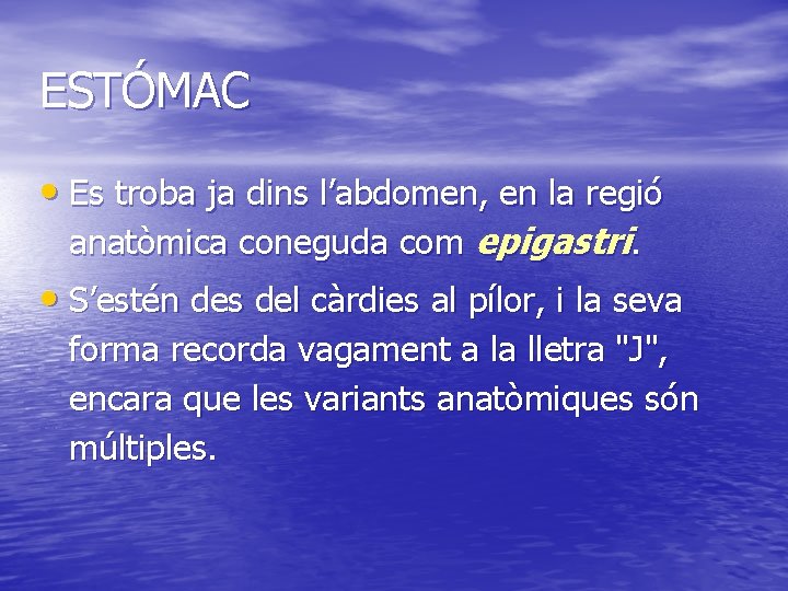 ESTÓMAC • Es troba ja dins l’abdomen, en la regió anatòmica coneguda com epigastri.