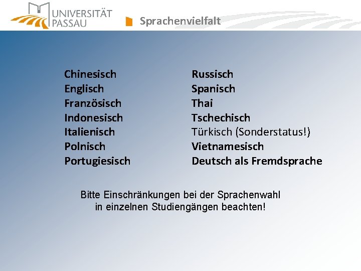 Sprachenvielfalt Chinesisch Englisch Französisch Indonesisch Italienisch Polnisch Portugiesisch Russisch Spanisch Thai Tschechisch Türkisch (Sonderstatus!) Sprachenvielfalt Chinesisch Englisch Französisch Indonesisch Italienisch Polnisch Portugiesisch Russisch Spanisch Thai Tschechisch Türkisch (Sonderstatus!)