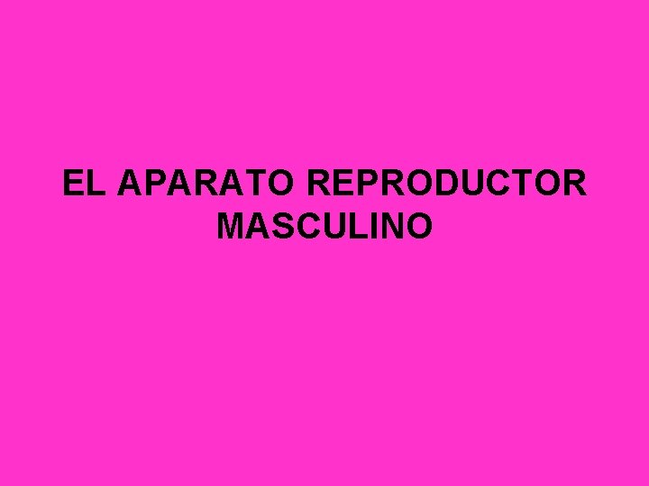 EL APARATO REPRODUCTOR MASCULINO 