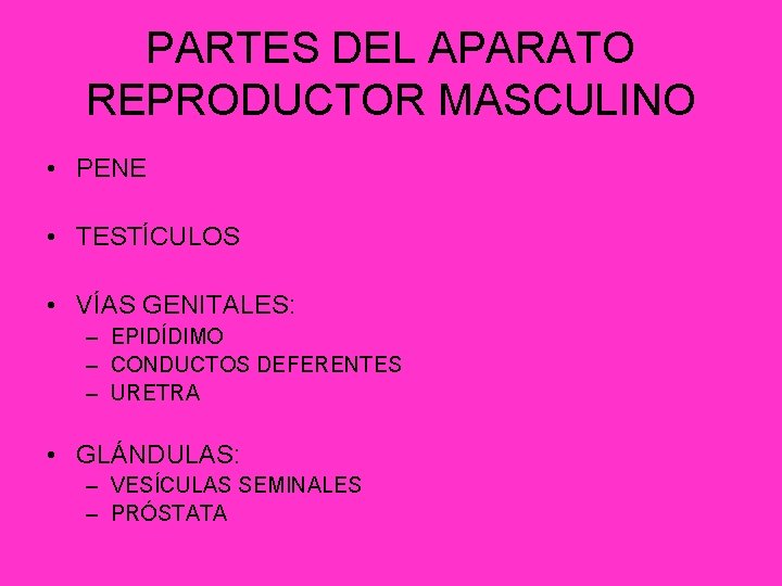 PARTES DEL APARATO REPRODUCTOR MASCULINO • PENE • TESTÍCULOS • VÍAS GENITALES: – EPIDÍDIMO