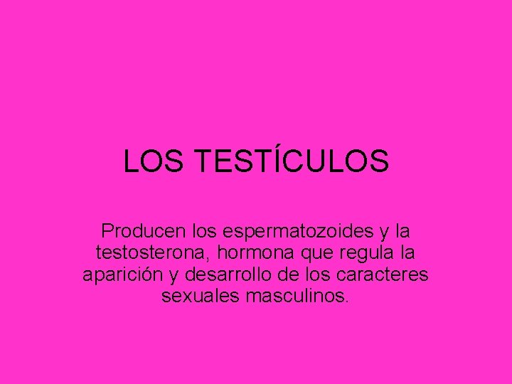 LOS TESTÍCULOS Producen los espermatozoides y la testosterona, hormona que regula la aparición y