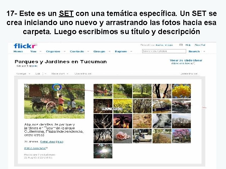 17 - Este es un SET con una temática específica. Un SET se crea