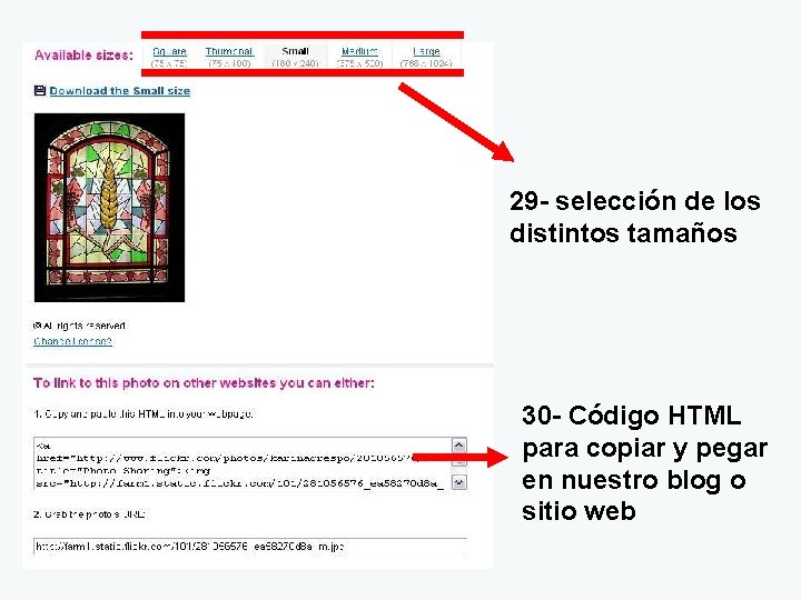 29 - selección de los distintos tamaños 30 - Código HTML para copiar y