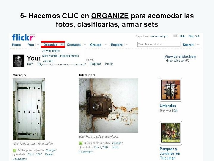 5 - Hacemos CLIC en ORGANIZE para acomodar las fotos, clasificarlas, armar sets 