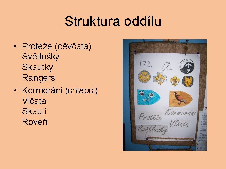 Struktura oddílu • Protěže (děvčata) Světlušky Skautky Rangers • Kormoráni (chlapci) Vlčata Skauti Roveři