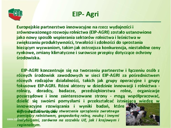 EIP- Agri Europejskie partnerstwo innowacyjne na rzecz wydajności i zrównoważonego rozwoju rolnictwa (EIP-AGRI) zostało