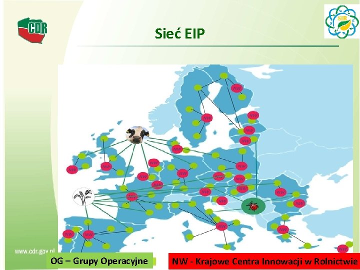 Sieć EIP OG – Grupy Operacyjne 6 NW - Krajowe Centra Innowacji w Rolnictwie