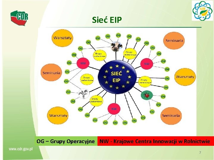 Sieć EIP OG – Grupy Operacyjne NW - Krajowe Centra Innowacji w Rolnictwie 7
