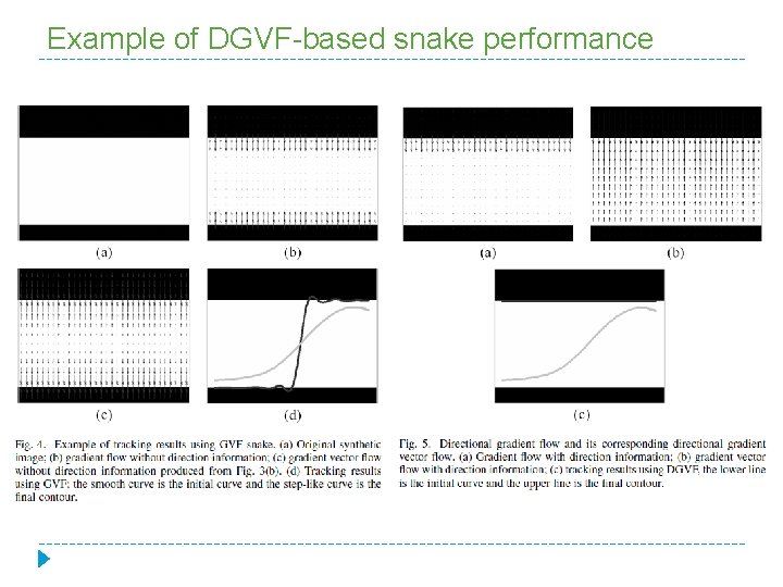 Example of DGVF-based snake performance 