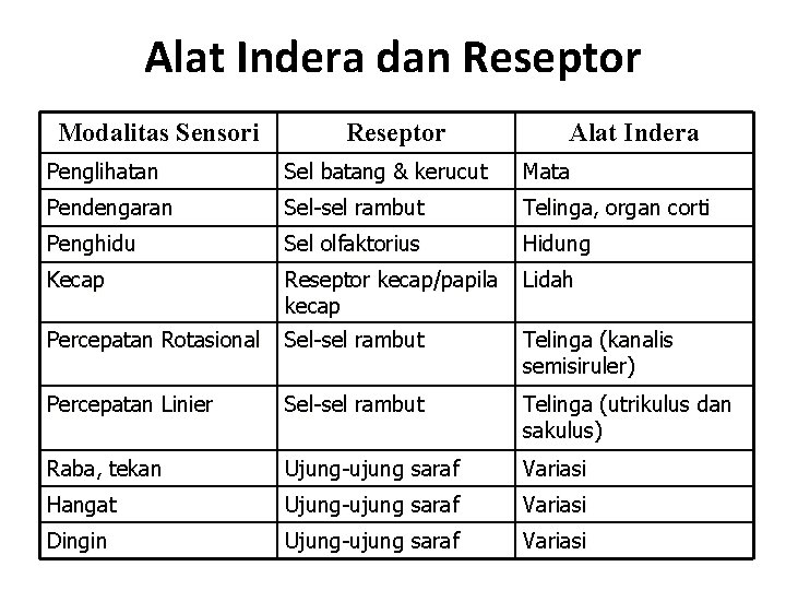 Alat Indera dan Reseptor Modalitas Sensori Reseptor Alat Indera Penglihatan Sel batang & kerucut