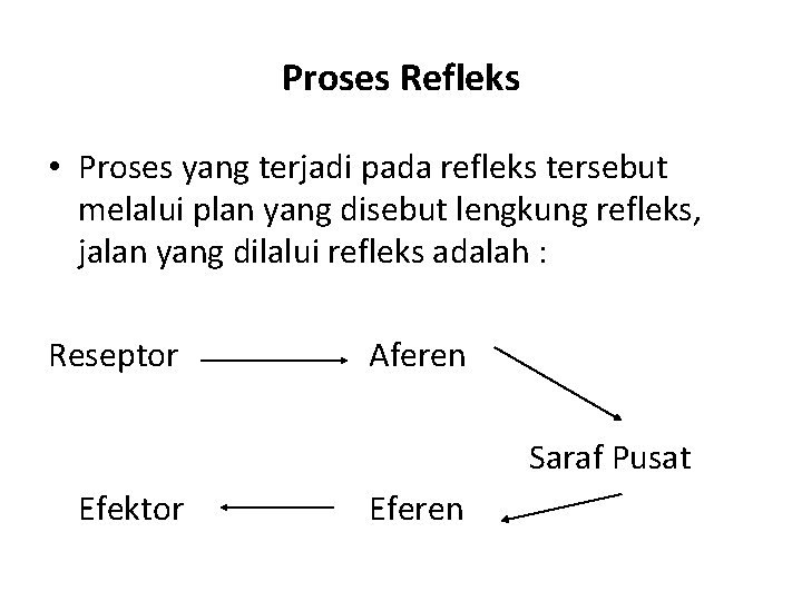 Proses Refleks • Proses yang terjadi pada refleks tersebut melalui plan yang disebut lengkung