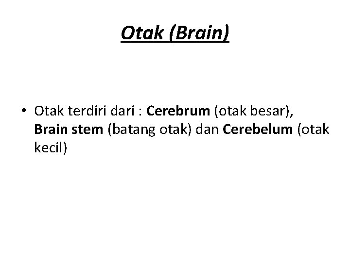 Otak (Brain) • Otak terdiri dari : Cerebrum (otak besar), Brain stem (batang otak)